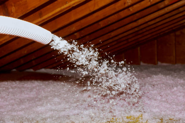 Best Commercial Insulation in Lodi, NJ